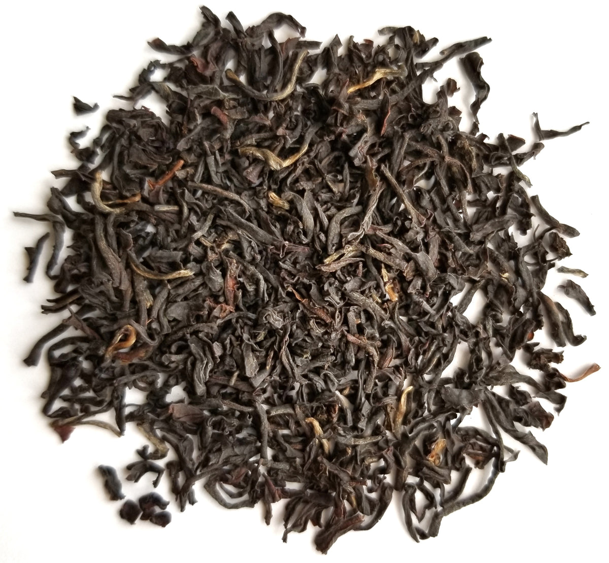 20210205_154732-01_1200x1200.