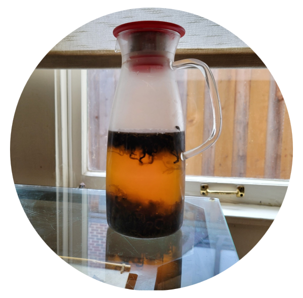 Cold Brew Sampler Packs – Rakkasan Tea Company