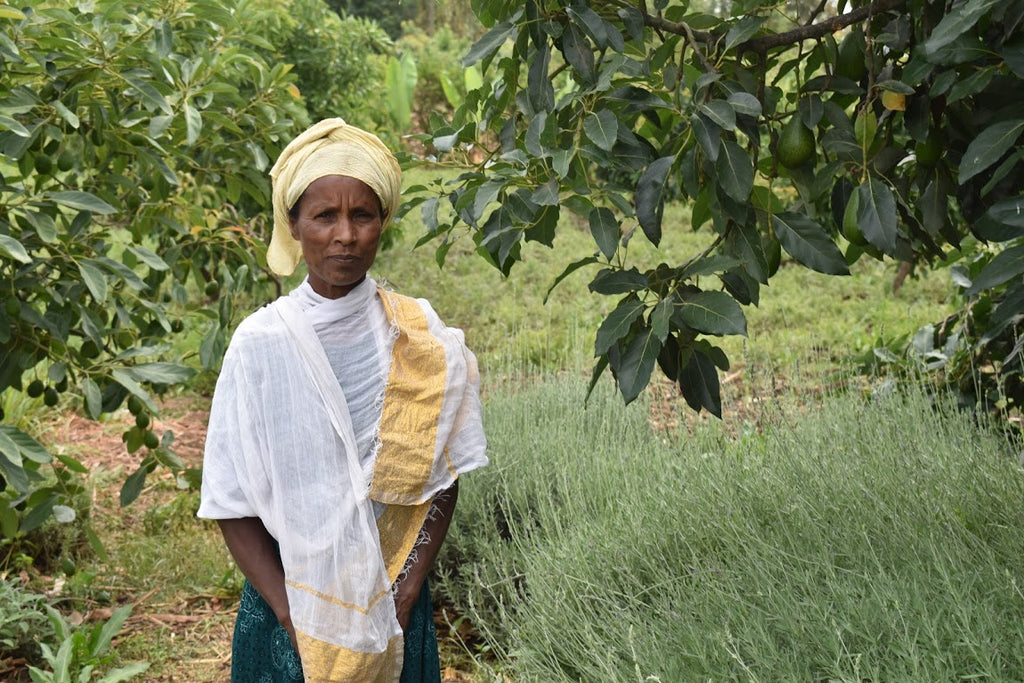 Meet Belaynesh: Our Ethiopian herbal tea maker