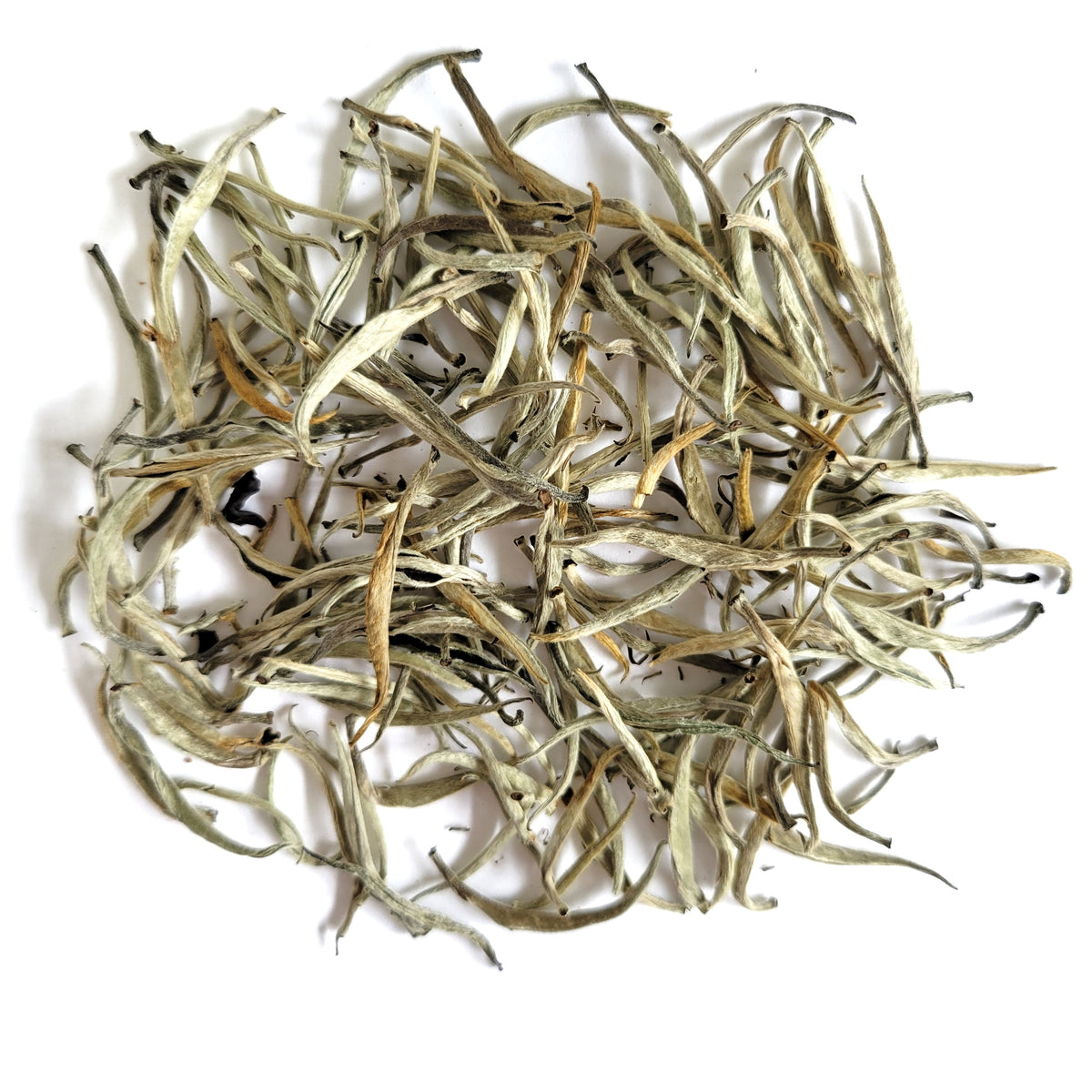 Ceylon Silver Tips (Sri Lanka) – Rakkasan Tea Company