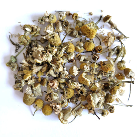 Nile Valley Chamomile (Egypt)